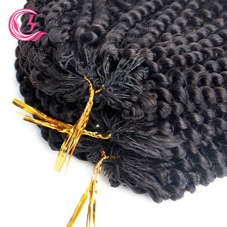 Crochet Hair Natural Black Afro Kinky Curly | CLJHair